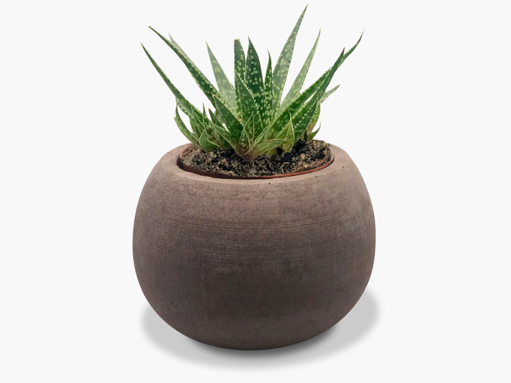 betn-planter-brown-1