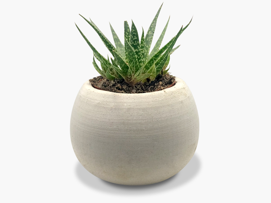 betn-planter-white-1
